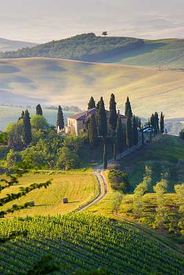 Toszkána, táj és parasztház a Val d'Orcia dombjaiban (fotótapéta) - vászonkép, falikép otthonra és irodába