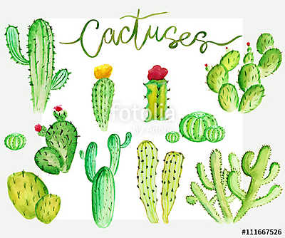 Watercolor cactus set (keretezett kép) - vászonkép, falikép otthonra és irodába