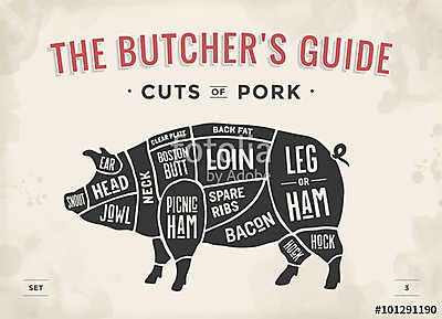 Cut of meat set. Poster Butcher diagram, scheme and guide - Pork (poszter) - vászonkép, falikép otthonra és irodába