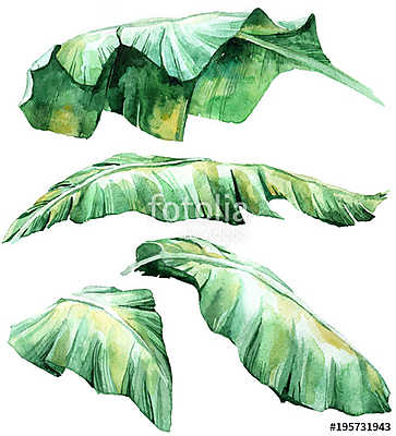 Tropical watercolor leaves set (bögre) - vászonkép, falikép otthonra és irodába