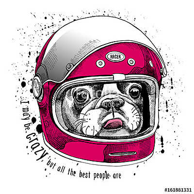 French Bulldog in a modern racer helmet. Vector illustration. (keretezett kép) - vászonkép, falikép otthonra és irodába