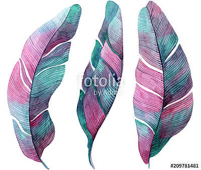 Watercolor illustration with palm pink and lilac leaves. (többrészes kép) - vászonkép, falikép otthonra és irodába