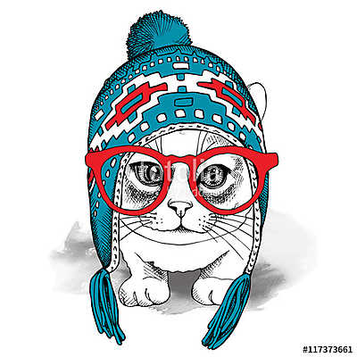 Portrait of a cat in blue winter hat with ear flaps and glasses. (többrészes kép) - vászonkép, falikép otthonra és irodába