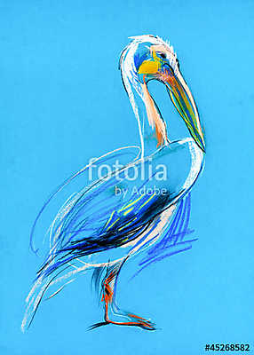 Sketch of a pelican (fotótapéta) - vászonkép, falikép otthonra és irodába