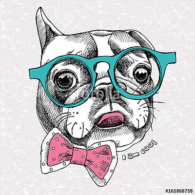 Portrait of a French Bulldog with glasses and tie. Vector illust (többrészes kép) - vászonkép, falikép otthonra és irodába