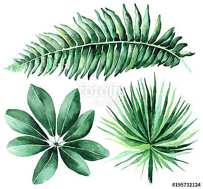 Tropical watercolor leaves set. (poszter) - vászonkép, falikép otthonra és irodába