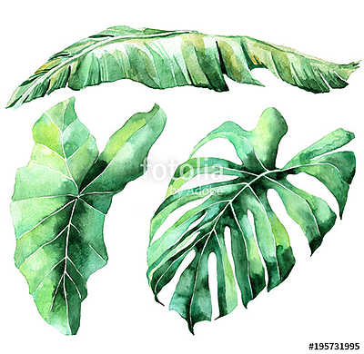 Tropical watercolor leaves set (poszter) - vászonkép, falikép otthonra és irodába