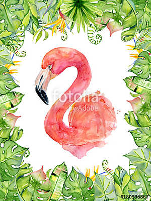 Pink flamingo watercolor hand drawn illustration in arrangement  (fotótapéta) - vászonkép, falikép otthonra és irodába