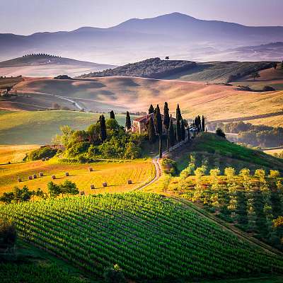 Toszkána, táj és parasztház a Val d'Orcia dombjaiban (poszter) - vászonkép, falikép otthonra és irodába