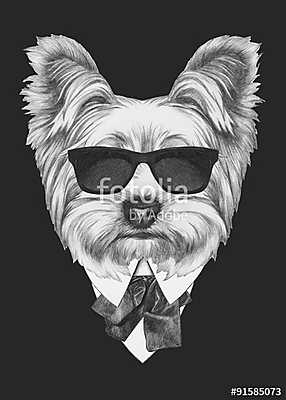 Portrait of Yorkshire Terrier dog in suit. Hand drawn illustrati (keretezett kép) - vászonkép, falikép otthonra és irodába