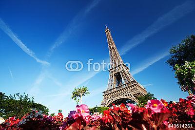 Eiffel-torony, Párizs, Franciaország (fotótapéta) - vászonkép, falikép otthonra és irodába