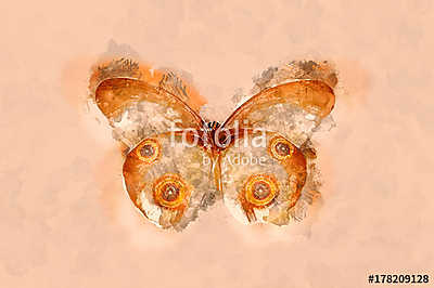 Watercolor butterfly.  (keretezett kép) - vászonkép, falikép otthonra és irodába