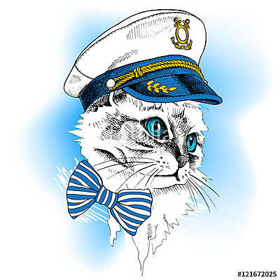 Portrait cat in a sailor's cap and tie on blue background. Vecto (keretezett kép) - vászonkép, falikép otthonra és irodába
