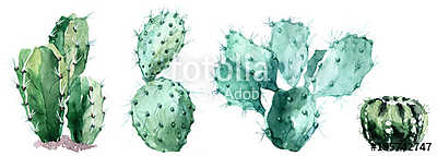 Watercolor set of cactus  isolated illustration on a white backg (bögre) - vászonkép, falikép otthonra és irodába