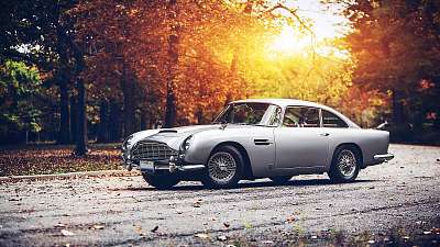 Aston Martin DB5 az őszi erdőben 2. (bögre) - vászonkép, falikép otthonra és irodába