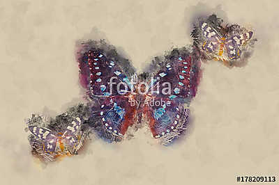 Watercolor Butterfly. (fotótapéta) - vászonkép, falikép otthonra és irodába