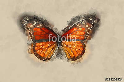 Watercolor Butterfly. (többrészes kép) - vászonkép, falikép otthonra és irodába