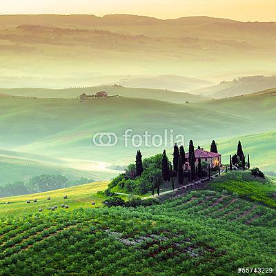 Podere in Toscana, olasz táj (poszter) - vászonkép, falikép otthonra és irodába