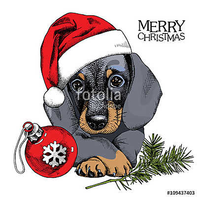 The christmas poster with the portrait of the dog Dachshund in t (fotótapéta) - vászonkép, falikép otthonra és irodába