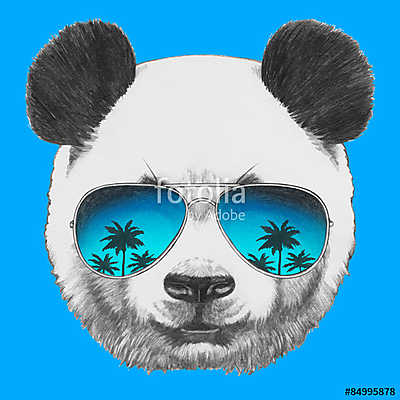 Hand drawn portrait of Panda with mirror sunglasses. Vector isol (többrészes kép) - vászonkép, falikép otthonra és irodába