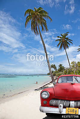 kubai kocsi a kókuszfa alatt (fotótapéta) - vászonkép, falikép otthonra és irodába