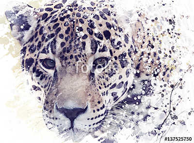 Leopard Portrait Watercolor (bögre) - vászonkép, falikép otthonra és irodába