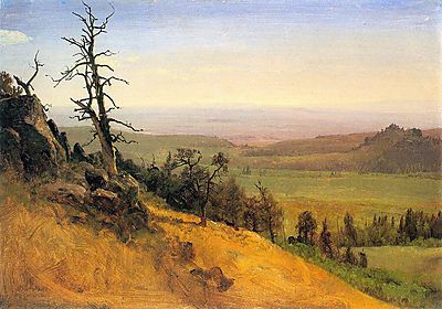 Albert Bierstadt:  (id: 1876) falikép keretezve