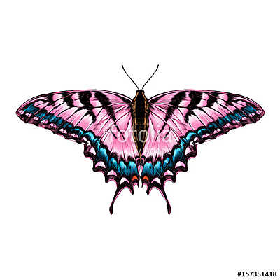 pink butterfly with blue pattern on the wings of the symmetric t (többrészes kép) - vászonkép, falikép otthonra és irodába
