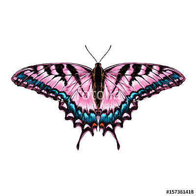 pink butterfly with blue pattern on the wings of the symmetric t (vászonkép óra) - vászonkép, falikép otthonra és irodába