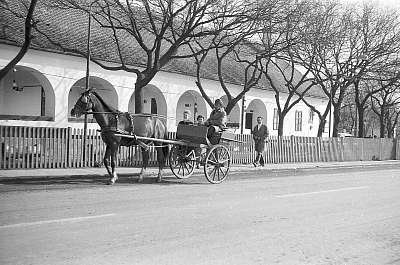 Hortobágyi Csárda a Kilenclyukú hídnál (1973) (poszter) - vászonkép, falikép otthonra és irodába