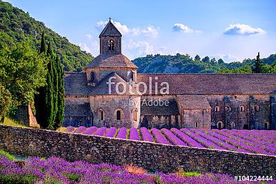 Levendulaföldek a Senanque kolostorban, Provence, Franciaország (bögre) - vászonkép, falikép otthonra és irodába