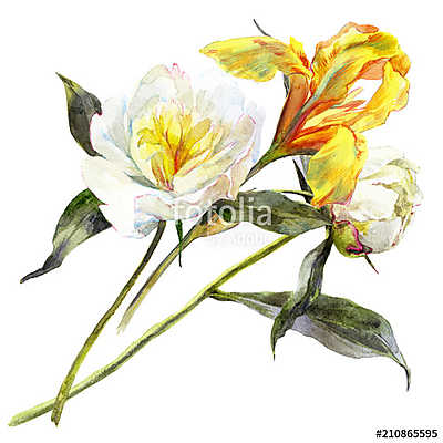 Isolated watercolor bouquet of peony and iris flower. (keretezett kép) - vászonkép, falikép otthonra és irodába