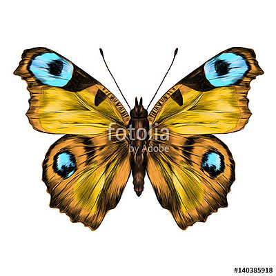 butterfly with open wings top view, the symmetrical drawing, gra (keretezett kép) - vászonkép, falikép otthonra és irodába