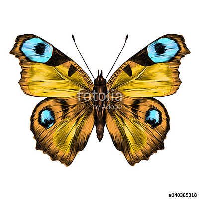 butterfly with open wings top view, the symmetrical drawing, gra (poszter) - vászonkép, falikép otthonra és irodába