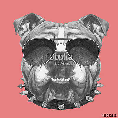 Hand drawn portrait of English Bulldog with collar and sunglasse (poszter) - vászonkép, falikép otthonra és irodába