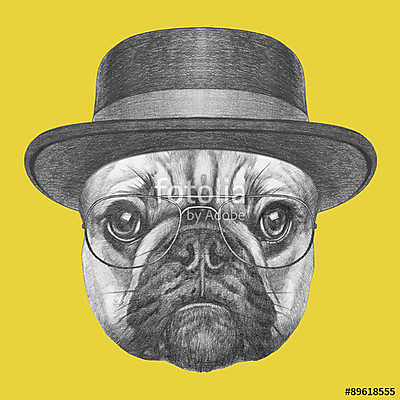 Portrait of French Bulldog with hat and glasses. Hand drawn illu (keretezett kép) - vászonkép, falikép otthonra és irodába