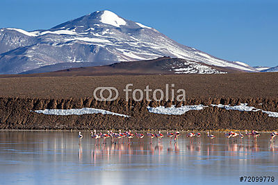 Lagoon Brava, La Rioja, Argentína (bögre) - vászonkép, falikép otthonra és irodába