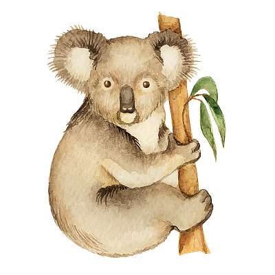 Koala (többrészes kép) - vászonkép, falikép otthonra és irodába