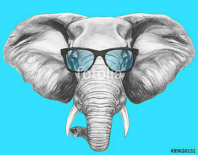 Portrait of Elephant with glasses. Hand drawn illustration. (fotótapéta) - vászonkép, falikép otthonra és irodába