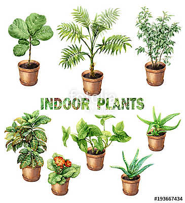 Watercolor Indoor Pot Plants (vászonkép óra) - vászonkép, falikép otthonra és irodába