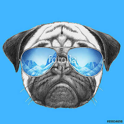 Portrait of Pug Dog with mirror sunglasses. Hand drawn illustrat (keretezett kép) - vászonkép, falikép otthonra és irodába