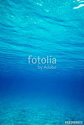 Underwater blue ocean background in sea (poszter) - vászonkép, falikép otthonra és irodába