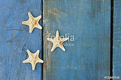 három tengeri csillag (fotótapéta) - vászonkép, falikép otthonra és irodába