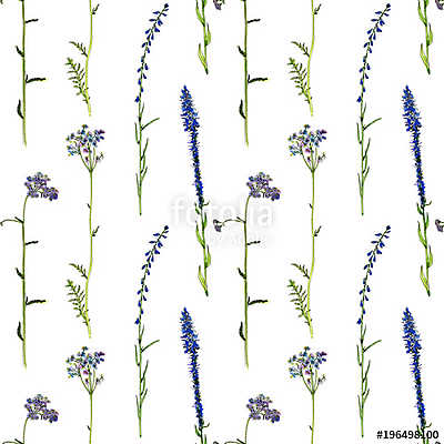 seamless pattern with watercolor drawing flowers and plants (keretezett kép) - vászonkép, falikép otthonra és irodába