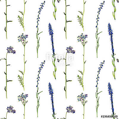 seamless pattern with watercolor drawing flowers and plants (fotótapéta) - vászonkép, falikép otthonra és irodába