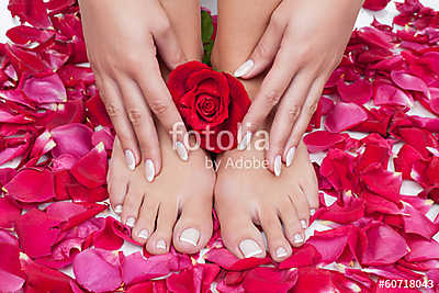 Beautiful woman's hands and legs with red rose petals (többrészes kép) - vászonkép, falikép otthonra és irodába