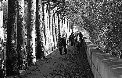 Párizs Quai des Tuileries a Pont de la Concorde felől nézve (1971) (bögre) - vászonkép, falikép otthonra és irodába