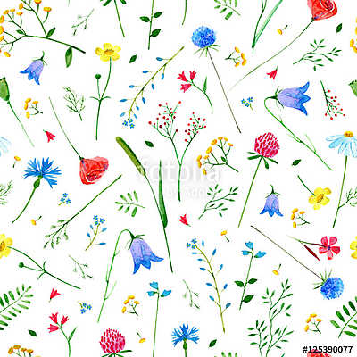 Floral seamless pattern with wild flowers and herbs on a white b (keretezett kép) - vászonkép, falikép otthonra és irodába