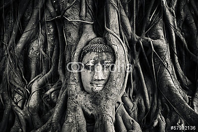 Buddha vezetője. Ayutthaya, Thaiföld. (fotótapéta) - vászonkép, falikép otthonra és irodába