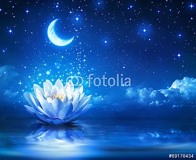 vízimadarak és hold a csillagos éjszakában - mágikus háttér (többrészes kép) - vászonkép, falikép otthonra és irodába